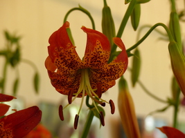 Foto: Dr. Peter Müller